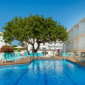 book here